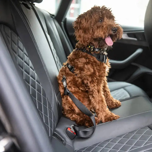 Adjustable Dog Seat Belt Tether – Black Car Safety Buckle Restraint for Pets